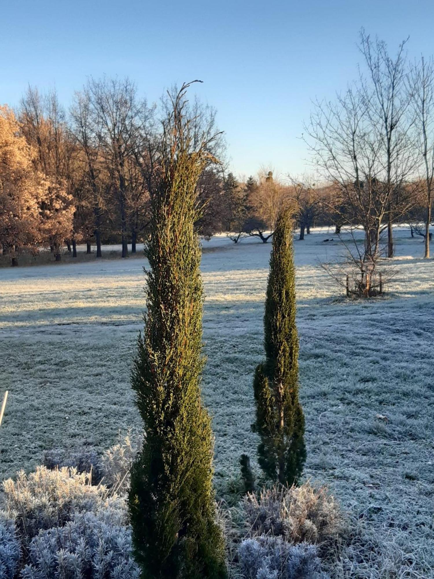 La Sauvetat  Domaine De Chalaniat B&B 외부 사진